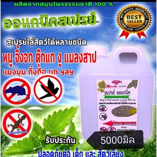 ไล่หนู  (RAT) **5 ลิตร**ไล่จิ้งจก (Lizard)ไล่ตุ๊กแก ไล่กระรอก นก แมลงสาบ ชนิดปลอดสารเคมี