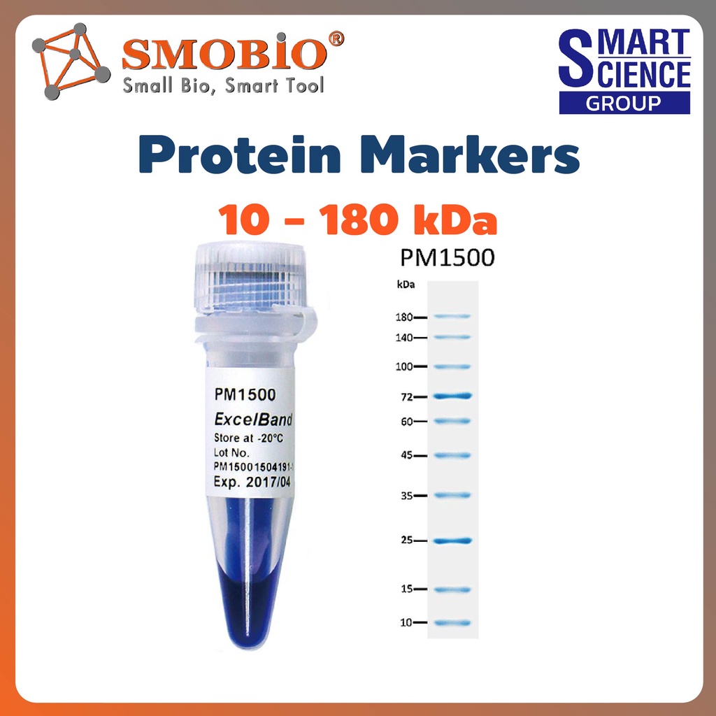PM1500 ExcelBand Protein Markers SDS-PAGE Western blot All Blue Regular Rang 10 - 180 kDa 250 uL x 2