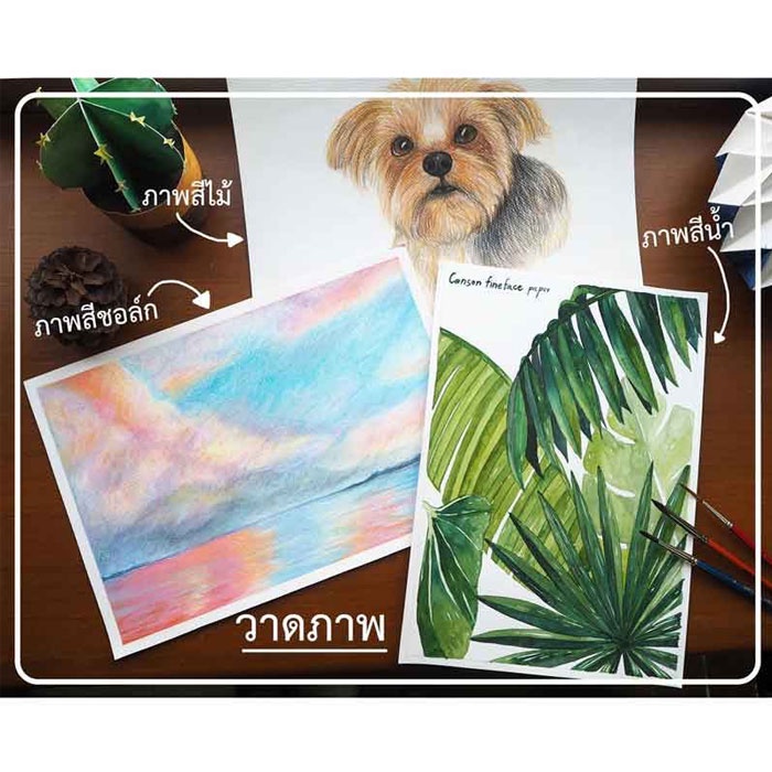 Canson FINE FACE 210G สมุดวาดเขียน หยาบ 2ด้าน A3 #600823