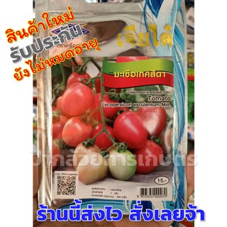 มะเขือเทศสีดา  เมล็ดพันธุ์ผักเจียไต๋ ประมาณ 630 เมล็ด ซอง15 บาท เมล็ดมะเขือเทศ เมล็ดมะเขือเทศสีดา