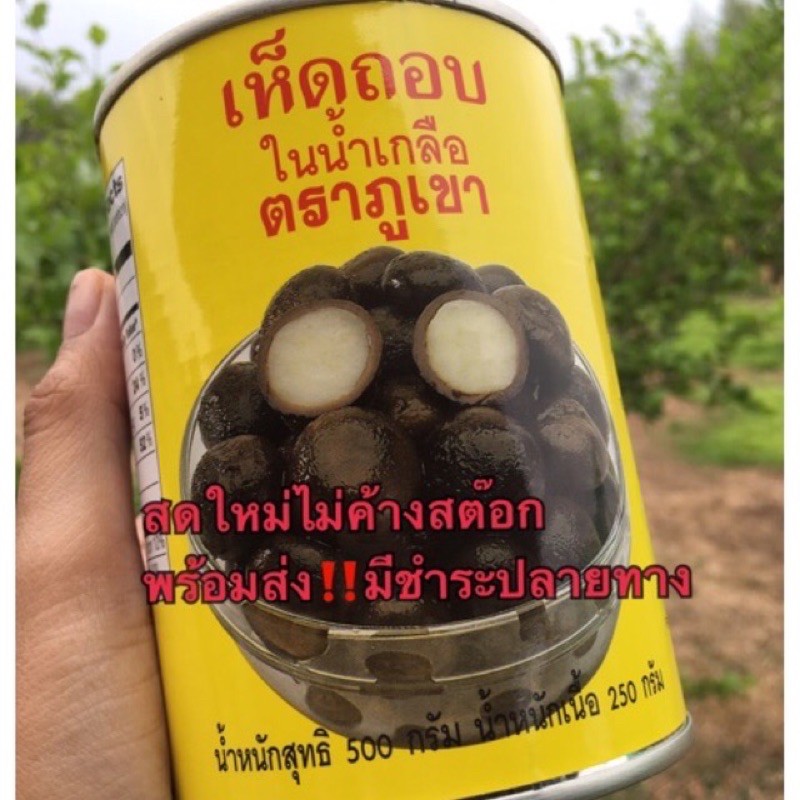 ส่งไวมาก ‼️เห็ดถอบในน้ำเกลือ (เห็ดเผาะ) ตราภูเขา