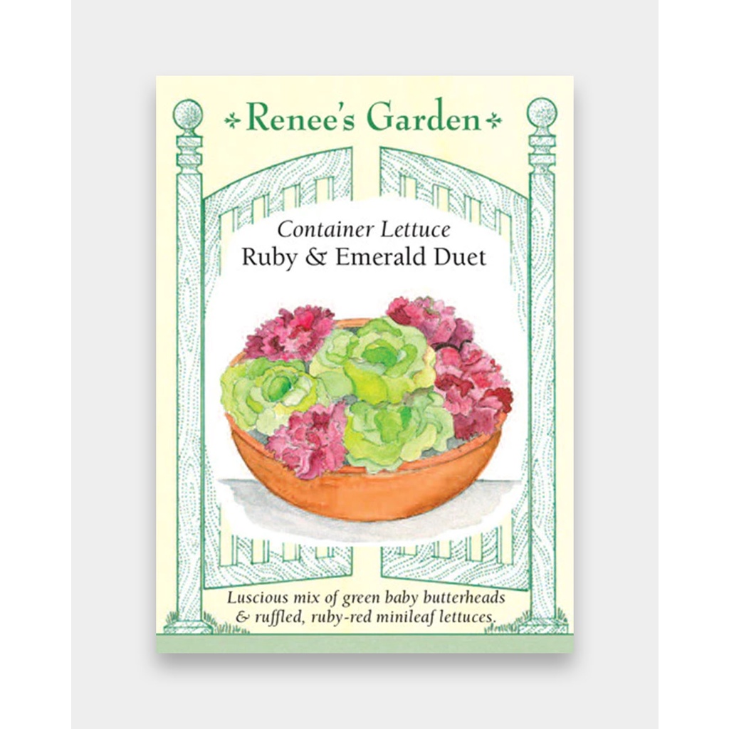 เมล็ดพันธุ์ ผักสวนครัว ผักกาดหอม ผักสลัด Ruby Emerald Duet