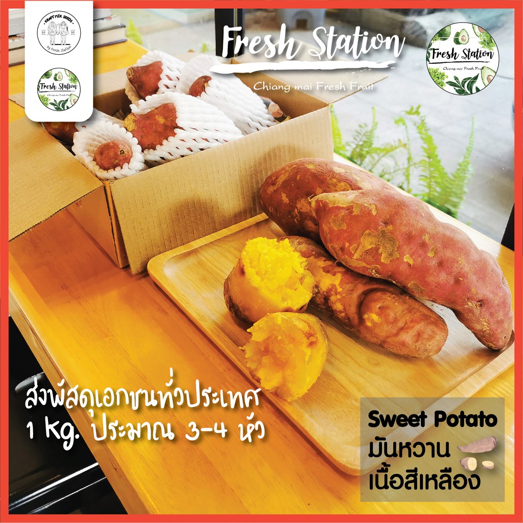 มันหวาน Sweet Potato ราคาต่อ kg. มันเทศเนื้อเหลือง สดจากไร่ เชียงใหม่ ผลไม้ สุขภาพ