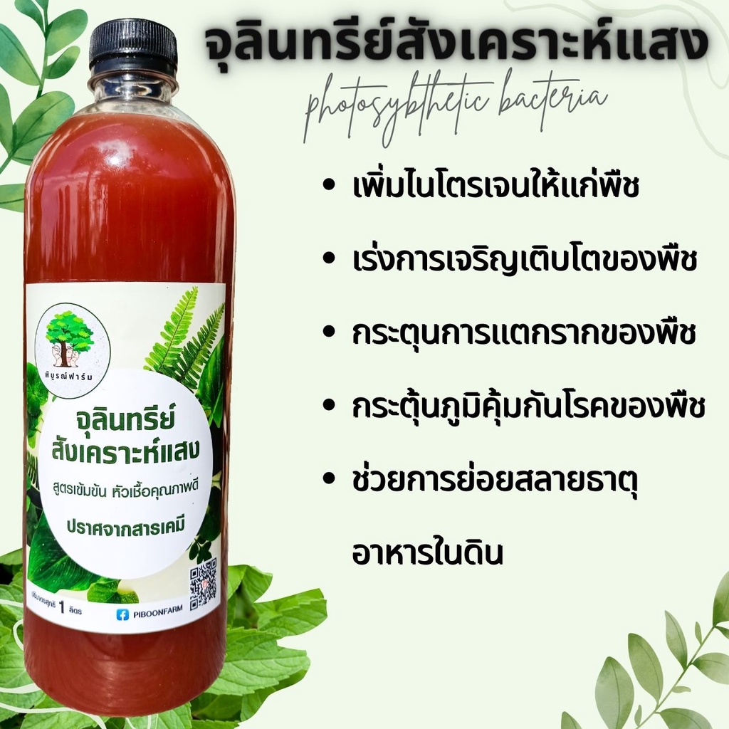 จุลินทรีย์สังเคราะห์แสง สูตรเข้มข้น ขนาด 1 ลิตร เร่งราก เร่งการเจริญเติบโต
