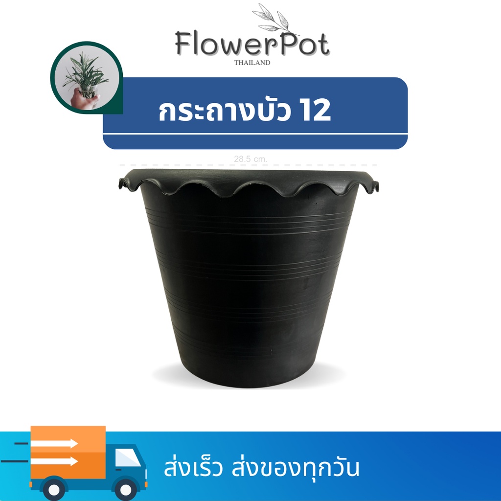 (1ใบ) กระถางบัว เบอร์ 12 (ปากกว้าง 10 นิ้ว) สีดำ