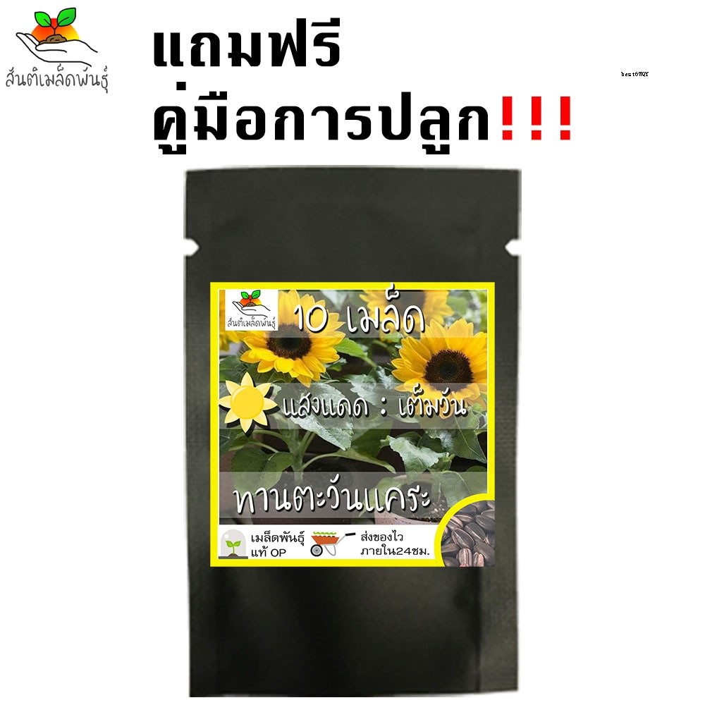 My Image 32