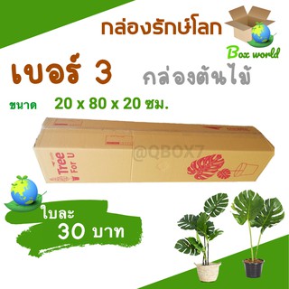 Boxworld กล่องต้นไม้ กล่องไปรษณีย์ เบอร์ 3 ขนาด 20 x 80 x 20 ซม. ( 5 ใบ )