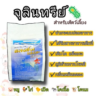 แลคโต โปรไบโอติค จุลินทรีย์สำหรับเลี้ยงสัตว์ หมู ไก่ เป็ด โคเนื้อ โคนม