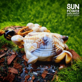🐢เต่า สัญลักษณ์มงคลด้านสุขภาพ ความมีอายุวัฒนะ ความสุขสงบในชีวิต ความหนักแน่น บารมี