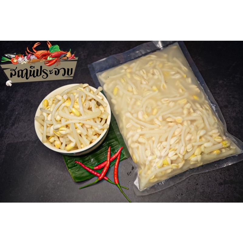 ถั่วงอกหัวโตดอง “สถานีประจวบ” 500 g