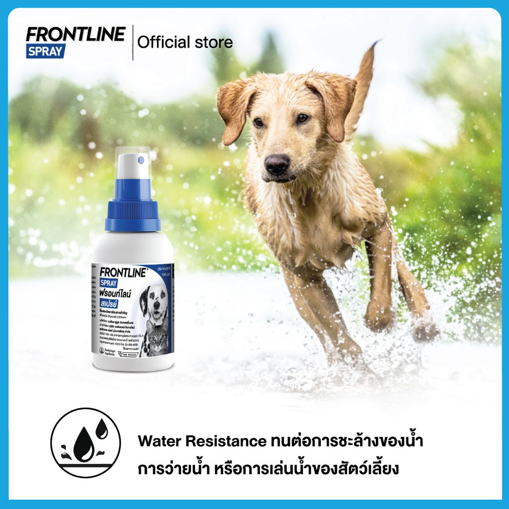FRONTLINE SPRAY FOR DOG & CAT 100 ml โฉมใหม่ ฟรอนท์ไลน์ สเปรย์ กำจัด ...