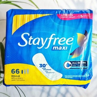 สเตย์ฟรี ผ้าอนามัย ไม่มีปีก สำหรับวันมาปกติ Maxi Regular 66 Pads (Stayfree™) Absorbency of Feminine Periods