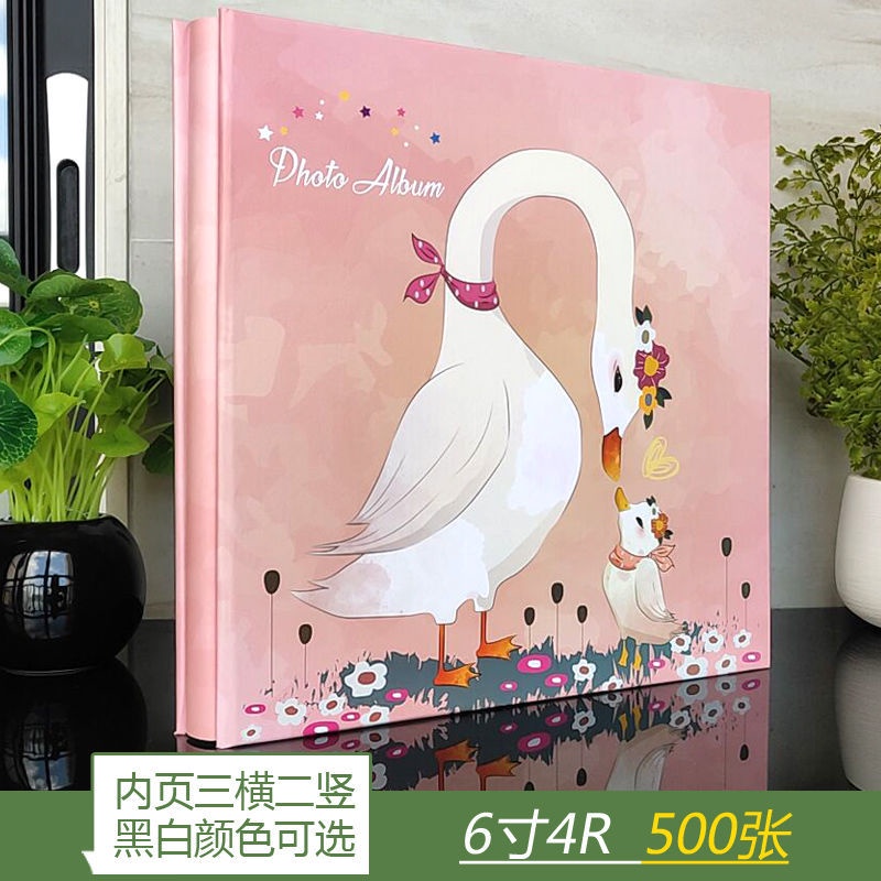 รูปภาพ 5