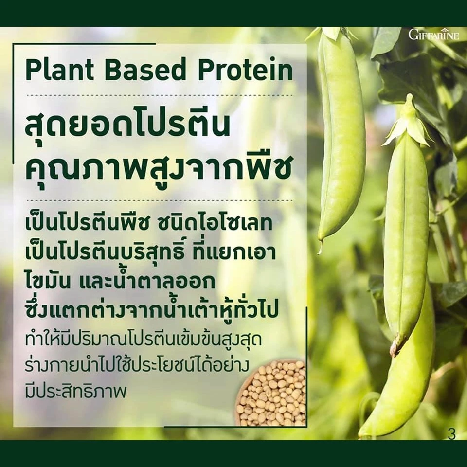 โปรตีนพืช โปรตีนกิฟฟารีน วีแกน มัลติ แพลนท์ โปรตีน กิฟฟารีน Vegan Multi Plant Protein Giffarine เวย์โปรตีน thumbnail 6