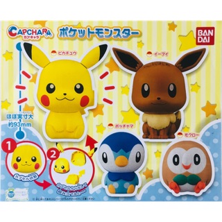 กาชาปอง Pokemon Pocket Monsters Capchara