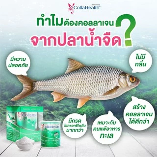 CollaHealth Collagen Powder 100% (คอลลาเฮลท์ คอลลาเจน ชนิดผง ขนาดกระป๋อง 200 กรัม)
