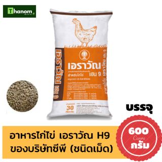 เอราวัณ เฮน9 แบบเม็ด 600กรัม อาหารไก่ไข่ ไก่ออกไข่ดี เปลือกไข่แข็ง โปรตีน 18%

แบ่งขาย