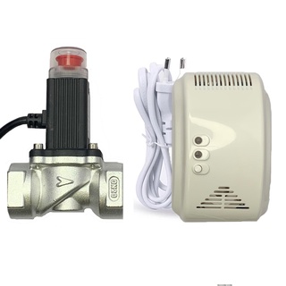 DN20 วาร์วแก๊ส+GAS DETECTOR อุปกรณ์ตรวจจับแก๊ส