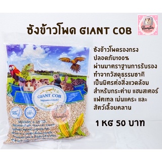 [Hamsterth] ซังข้าวโพด Giant cob,organic cob ขนาด 1Kg รองกรง สัตว์เลี้ยง แฮมสเตอร์ เม่นแคระ