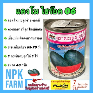 แตงโม ไฮร๊อค 06 เมล็ดพันธุ์ ตอปิโด ไฮร็อค ลอตใหม่ งอกดี ลูกใหญ่พิเศษ ผลทรงยาวรี เนื้อแน่น สีแดงเข้ม หวานกรอบ ปลูก 1 ไร่