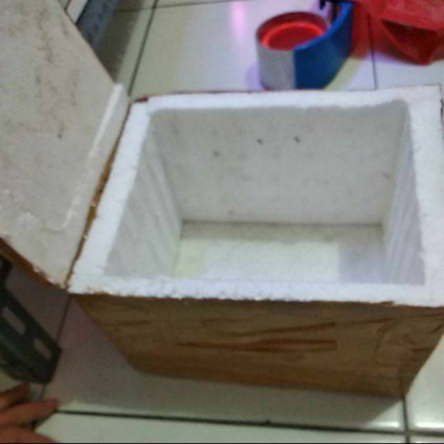 Styrofoam fish container, commonly known as a fish box.