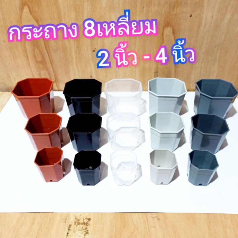 (ส่งจากกรุงเทพ) 8เหลี่ยม ขนาด 2 - 3 - 4 นิ้ว กระถางกระบองเพชร กระถางต้นไม้แคตตัส สีใส พลาสติก