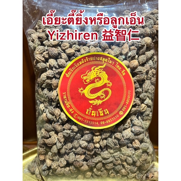 ลูกเอ็น หรือเอี๊ยะตี๊ยิ้ง Yizhiren 益智仁