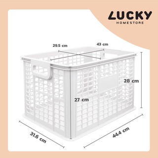 LUCKY HOME ตะกร้าพลาสติกใส่ของ (L) DT-55 ขนาด(กว้าง x ยาว x สูง): 32.6 x 45.4 x 28 cm