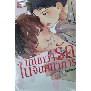 เกินกว่ารักในจินตนาการ by tadano เล่มเดียวจบ