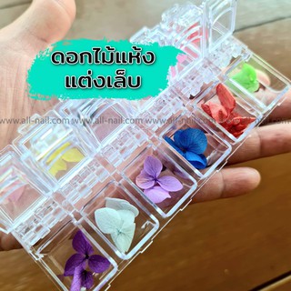 ดอกไม้แห้ง ดอกไม้แต่งเล็บ 1set/12สี