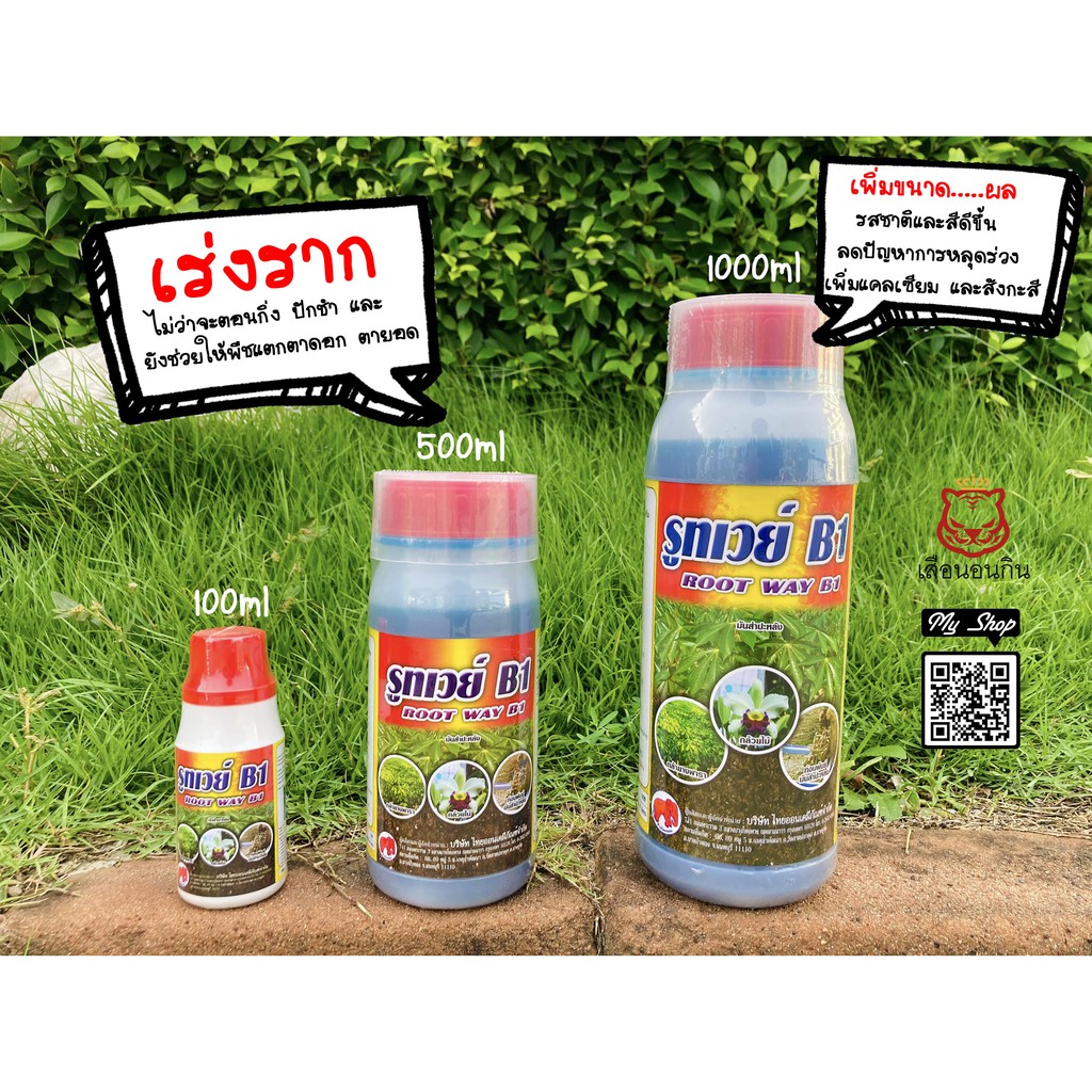เร่งราก พรีเมียม B1 แช่เมล็ดพันธุ์ แก่กิ่งตอน ปีกชำ ฮอร์โมนบำรุง