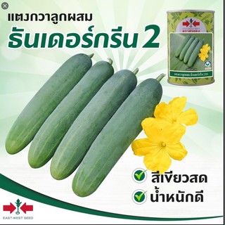 เมล็ดพันธุ์ แตงกวาธันเดอร์กรีน2 ขนาดบรรจุ 100 กรัม