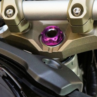 Pro-Bolt อลูมิเนียม แผงคอบน MT09/13+,Hayabusa/08-11