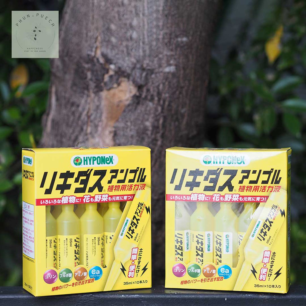 ปุ๋ยน้ำสุดฮิตนำเข้าจากญี่ปุ่น Hyponex Ampoule สูตรสีเหลือง ยกกล่อง 10 หลอด