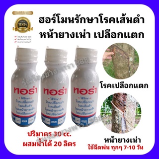 ฮอร์โมนรักษาหน้ายางพาราสูตรเข้มข้น (รักษาโรคเส้นดำ หน้ายางแห้ง เน่า เปลือกแตก)