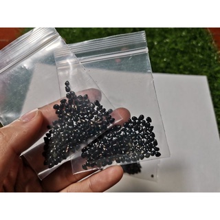 เมล็ดตอสามเหลี่ยม  Hylocereus undatus seeds