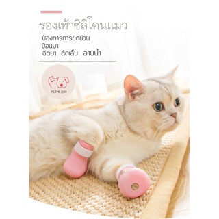 ราคา😻พร้อมส่ง😻ซิลิโคนหุ้มเท้าอาบน้ำแมว รองเท้าแมว ปลอกเท้าป้องกันแมวข่วน  ถุงเท้าแมว ของใช้แมว อุปกรณ์อาบน้ำแมว ถุงอาน้ำแมว