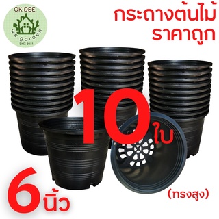 เซต10ใบ กระถางต้นไม้ 6 นิ้ว กระถางดำ6นิ้ว ราคาส่ง กระถางพลาสติก