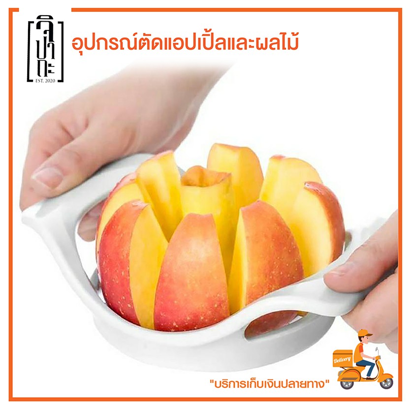 ที่ตัดแอปเปิ้ล ผลไม้ สแตนเลส Apple Cutter / Fruit Cutter