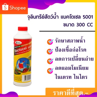 น้ำจุลินทรีย์ รักษาสภาพน้ำ สัตว์น้ำ 300CC น้ำใส ลดตะกอน แบคโตเซล 5001 Bactocel 5001 ไบโอนิค กลิ่นเหม็นในบ่อปลา บำบัดน้ำ