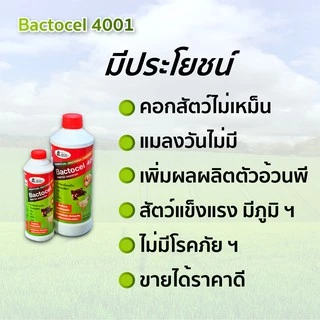 Bactocel 4001 300cc* จุลิทรีย์กำจัดกลิ่นเหม็นคอกสัตว์ แบคโตเซล ลดแมลงวัน กำจัดกลิ่นมูลสัตว์ ลดกลิ่น