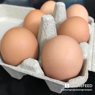 ไข่ไก่สด ออแกนิกเลี้ยงเอง(แพค4ฟอง)เบอร์1 ราคา59บาท ทานดิบได้ไม่คาว
