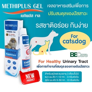 ใหม่ Methiplus Gel เมทิพลัสเจล อาหารเสริมแมว ช่วยละลายนิ่ว ป้องกันการเกิดนิ่ว โรคนิ่ว 30 กรัม