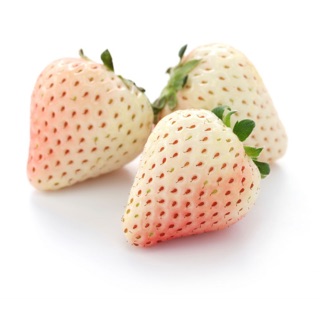 หัวน้ำหอม white strawberry (สตอเบอรี่เปรี้ยว)004397