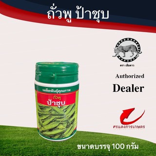 เมล็ดพันธุ์ ถั่วพูป้าชุบ  100g