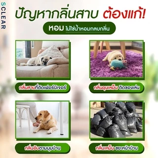 สเปรย์ดับกลิ่นสุนัข แมว SCLEAR สเปรย์ดับกลิ่นแมว ดับกลิ่นฉี่หมา ดับกลิ่นฉี่ 250 มล. ส่งไว ส่งทุกวัน