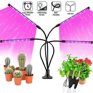 ไฟปลูกผัก ไฟปลูกต้นไม้ในบ้าน LED 20w 30w 40w Adaptor 5V 3A Indoor Grow Light for Indoor Plants