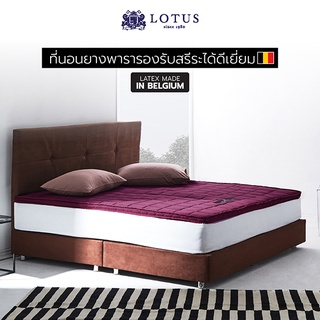 LOTUS ที่นอนยางพารา รองรับสรีระได้ดีเยี่ยม Latex made in Belgium ส่งฟรี