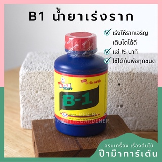 B1 น้ำยาเร่งราก แช่แค่ 15 นาที รากออกไว  [BY B1]