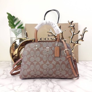 COACH MINI LILLIE CARRYALL (COACH F91494) 🔻SIZE : 10 1/4" (L) x 6 3/4" (H) x 4 1/4" (W) 🔻COLOR : KHAKI/SADDLE